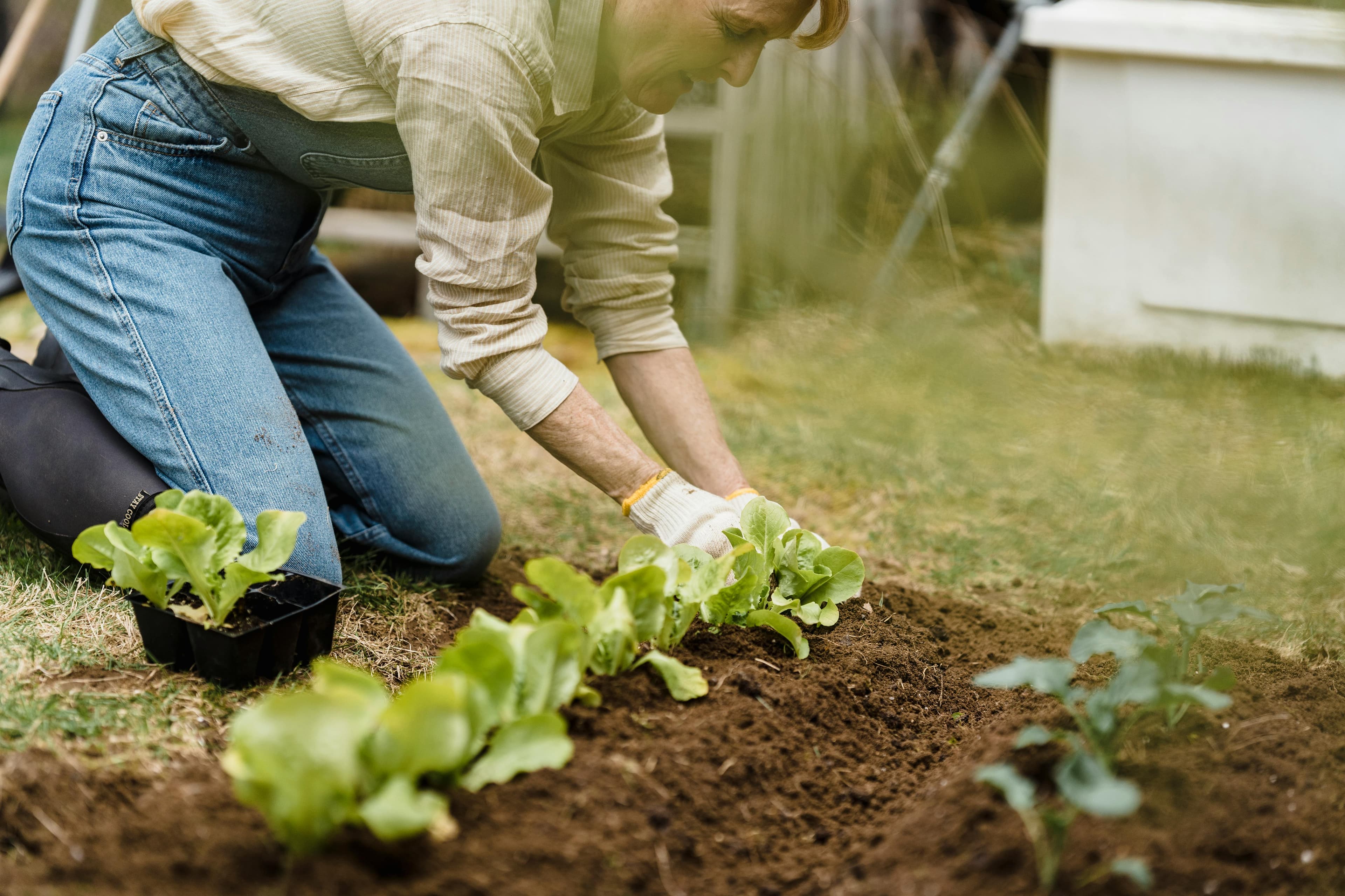 Gardening